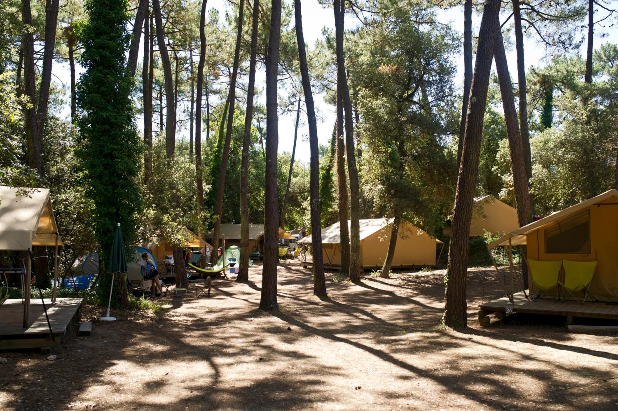 Huttopia Oleron Les Chenes Verts Dolus d'Oléron Zimmer foto