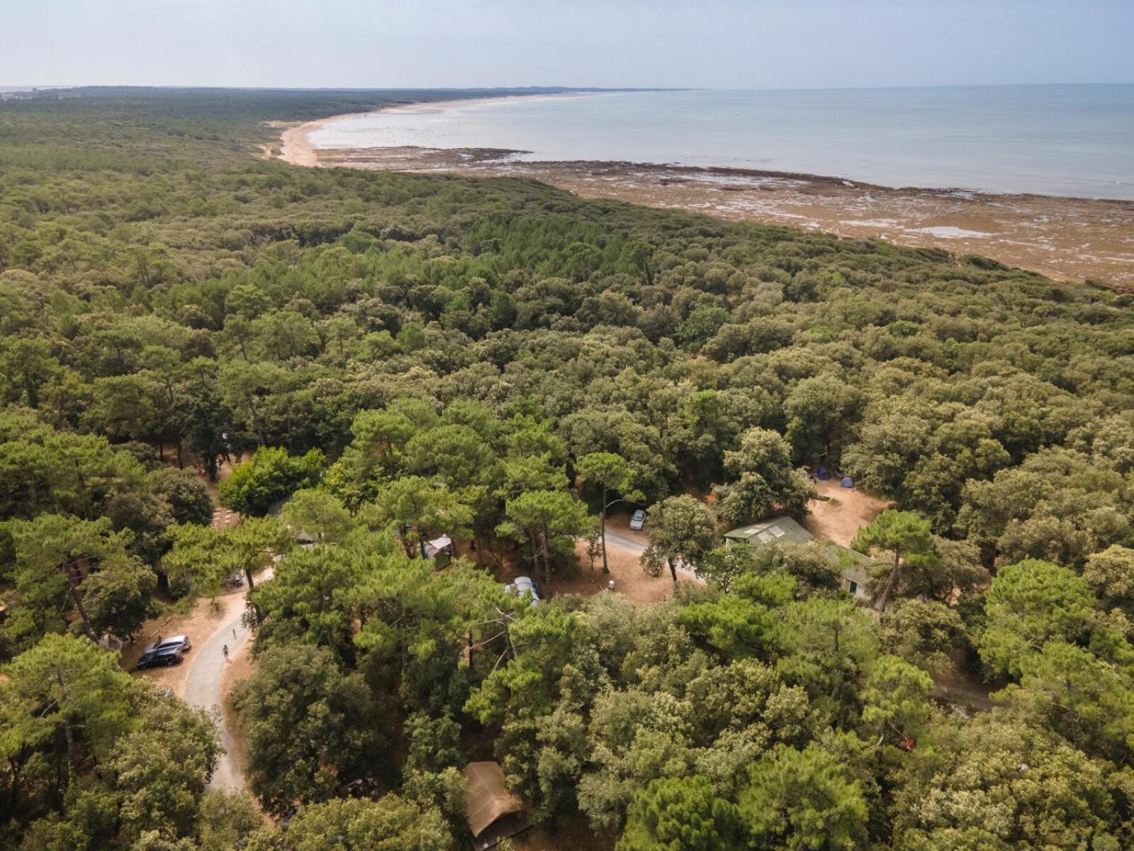 Huttopia Oleron Les Chenes Verts Dolus d'Oléron Exterior foto